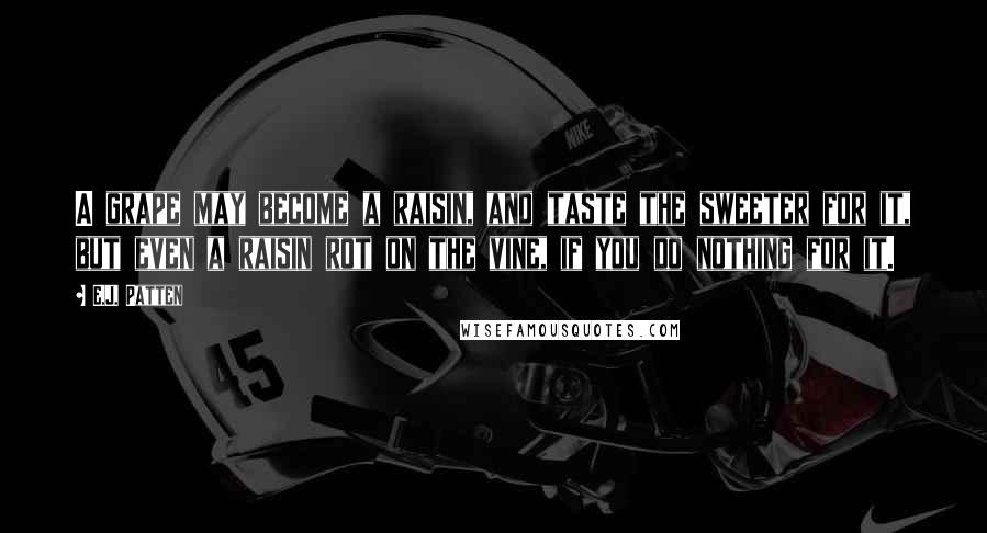 E.J. Patten Quotes: A grape may become a raisin, and taste the sweeter for it, but even a raisin rot on the vine, if you do nothing for it.