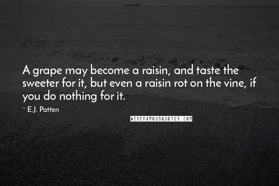 E.J. Patten Quotes: A grape may become a raisin, and taste the sweeter for it, but even a raisin rot on the vine, if you do nothing for it.