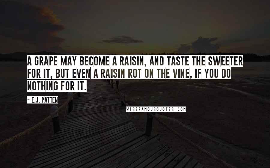 E.J. Patten Quotes: A grape may become a raisin, and taste the sweeter for it, but even a raisin rot on the vine, if you do nothing for it.