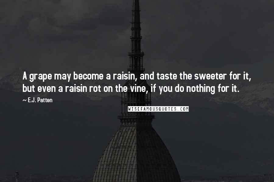 E.J. Patten Quotes: A grape may become a raisin, and taste the sweeter for it, but even a raisin rot on the vine, if you do nothing for it.