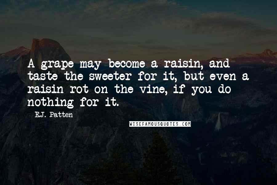 E.J. Patten Quotes: A grape may become a raisin, and taste the sweeter for it, but even a raisin rot on the vine, if you do nothing for it.