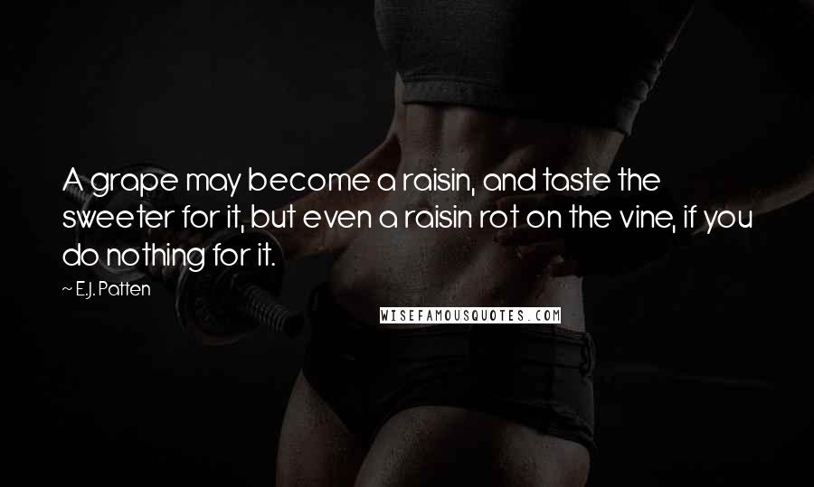 E.J. Patten Quotes: A grape may become a raisin, and taste the sweeter for it, but even a raisin rot on the vine, if you do nothing for it.