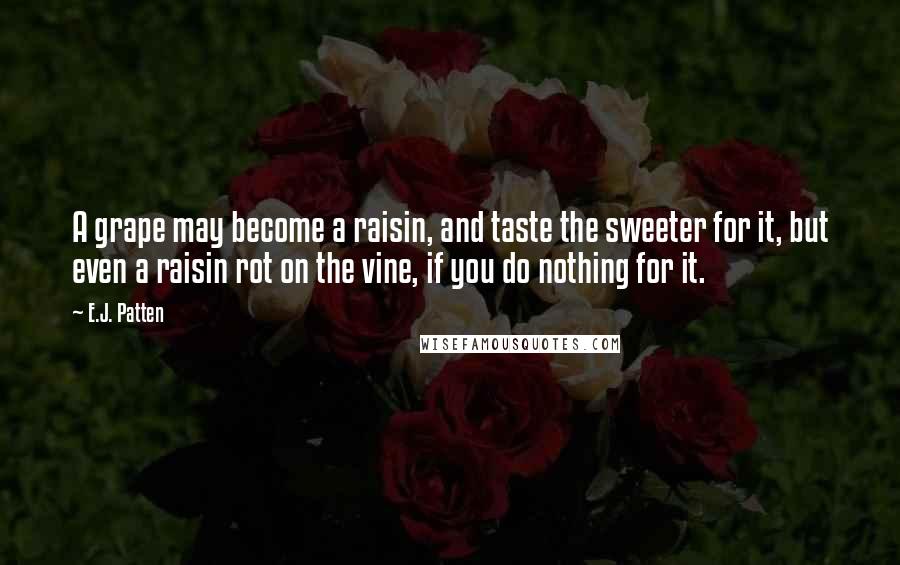 E.J. Patten Quotes: A grape may become a raisin, and taste the sweeter for it, but even a raisin rot on the vine, if you do nothing for it.