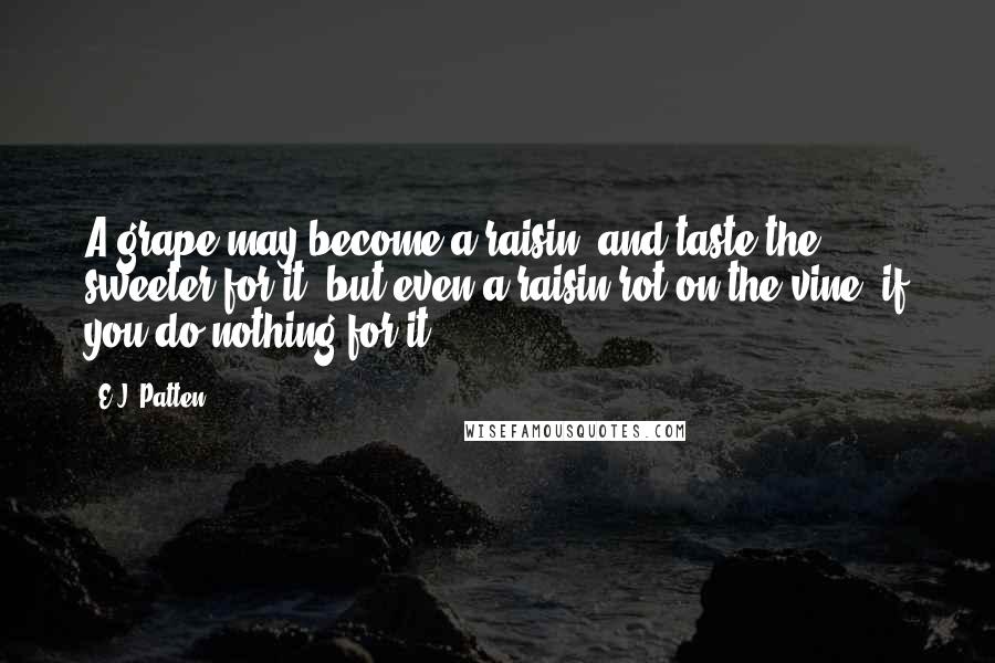 E.J. Patten Quotes: A grape may become a raisin, and taste the sweeter for it, but even a raisin rot on the vine, if you do nothing for it.
