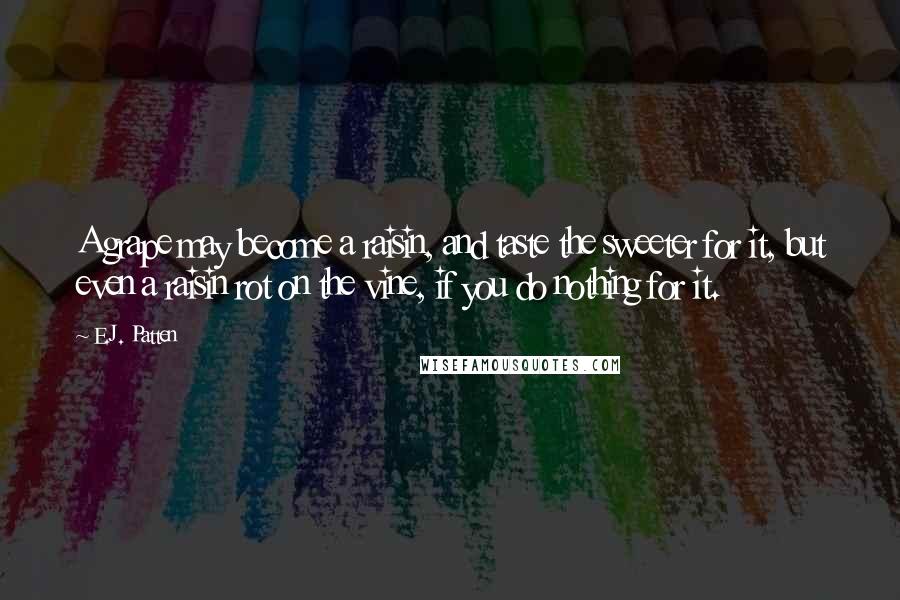 E.J. Patten Quotes: A grape may become a raisin, and taste the sweeter for it, but even a raisin rot on the vine, if you do nothing for it.
