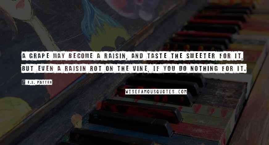 E.J. Patten Quotes: A grape may become a raisin, and taste the sweeter for it, but even a raisin rot on the vine, if you do nothing for it.