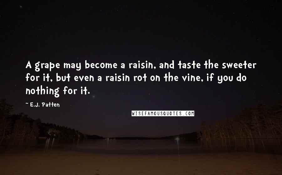 E.J. Patten Quotes: A grape may become a raisin, and taste the sweeter for it, but even a raisin rot on the vine, if you do nothing for it.