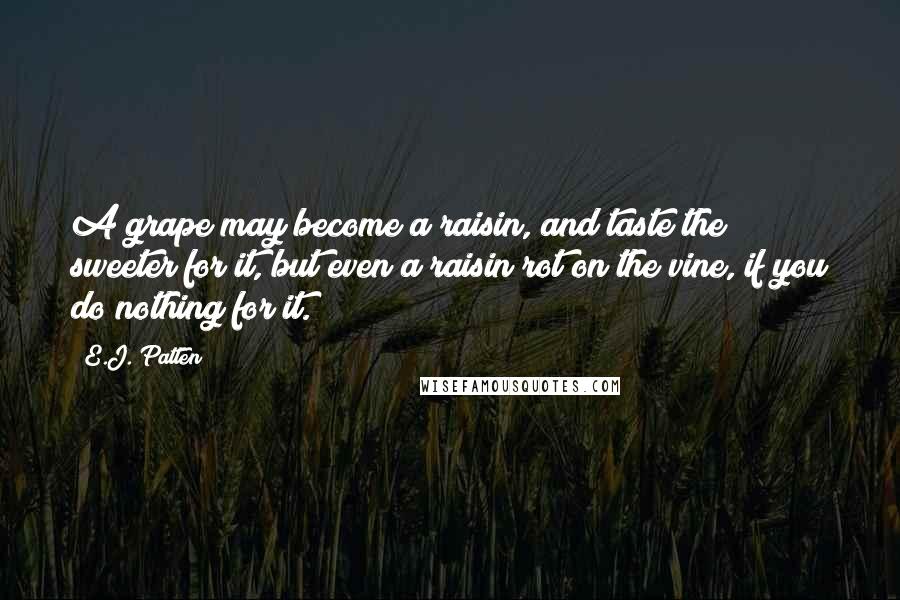 E.J. Patten Quotes: A grape may become a raisin, and taste the sweeter for it, but even a raisin rot on the vine, if you do nothing for it.