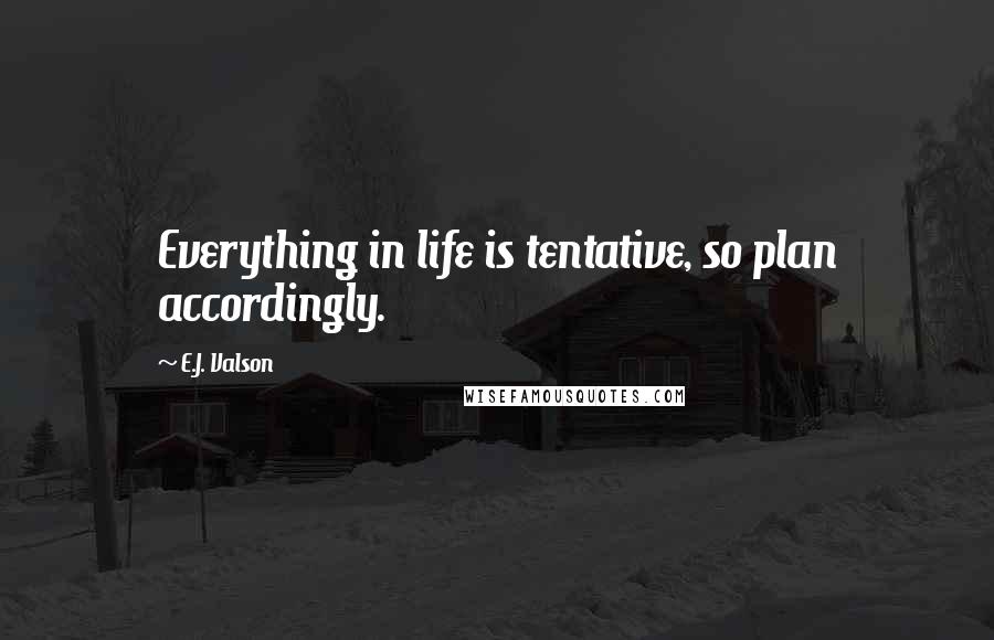 E.J. Valson Quotes: Everything in life is tentative, so plan accordingly.