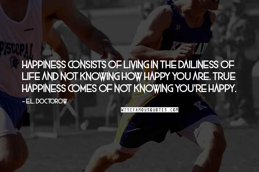 E.L. Doctorow Quotes: Happiness consists of living in the dailiness of life and not knowing how happy you are. True happiness comes of not knowing you're happy.