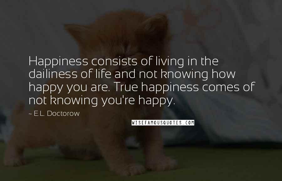E.L. Doctorow Quotes: Happiness consists of living in the dailiness of life and not knowing how happy you are. True happiness comes of not knowing you're happy.