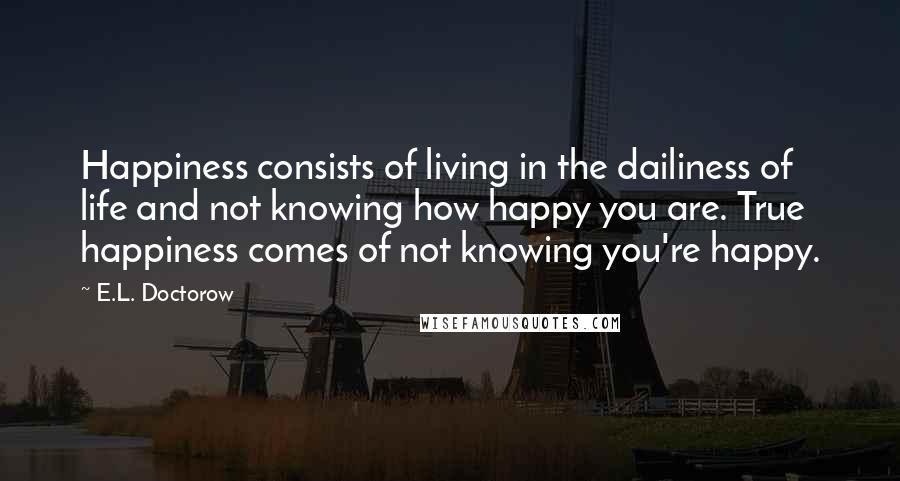 E.L. Doctorow Quotes: Happiness consists of living in the dailiness of life and not knowing how happy you are. True happiness comes of not knowing you're happy.