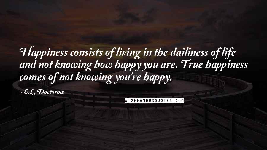 E.L. Doctorow Quotes: Happiness consists of living in the dailiness of life and not knowing how happy you are. True happiness comes of not knowing you're happy.