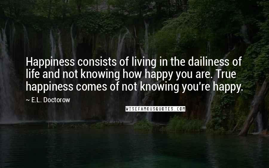 E.L. Doctorow Quotes: Happiness consists of living in the dailiness of life and not knowing how happy you are. True happiness comes of not knowing you're happy.