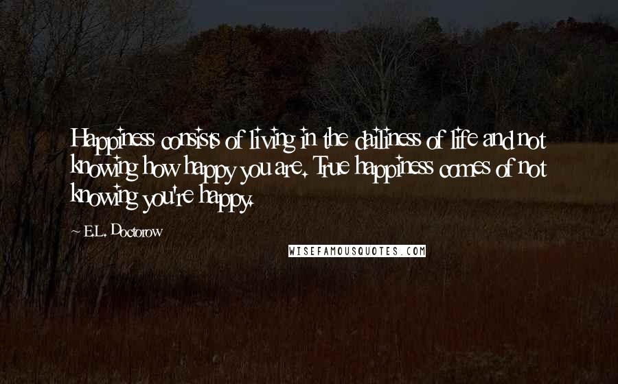 E.L. Doctorow Quotes: Happiness consists of living in the dailiness of life and not knowing how happy you are. True happiness comes of not knowing you're happy.