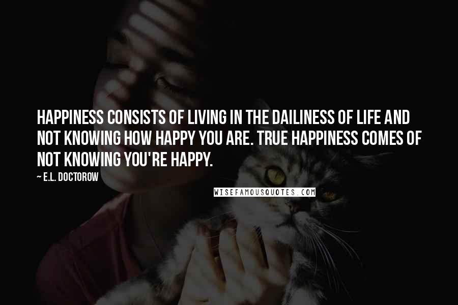 E.L. Doctorow Quotes: Happiness consists of living in the dailiness of life and not knowing how happy you are. True happiness comes of not knowing you're happy.