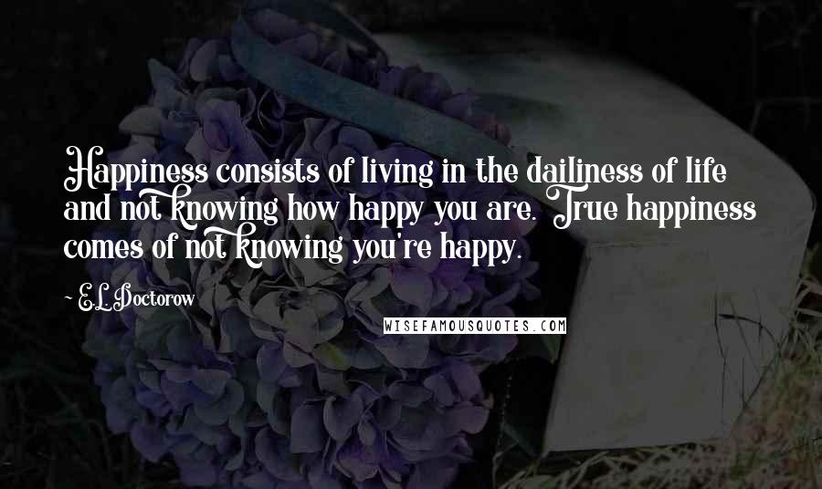 E.L. Doctorow Quotes: Happiness consists of living in the dailiness of life and not knowing how happy you are. True happiness comes of not knowing you're happy.