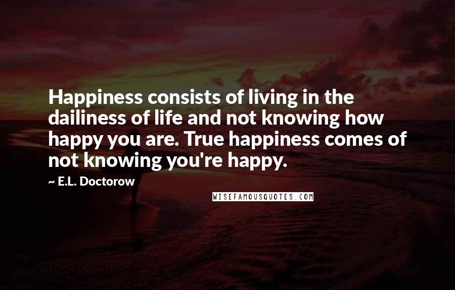 E.L. Doctorow Quotes: Happiness consists of living in the dailiness of life and not knowing how happy you are. True happiness comes of not knowing you're happy.