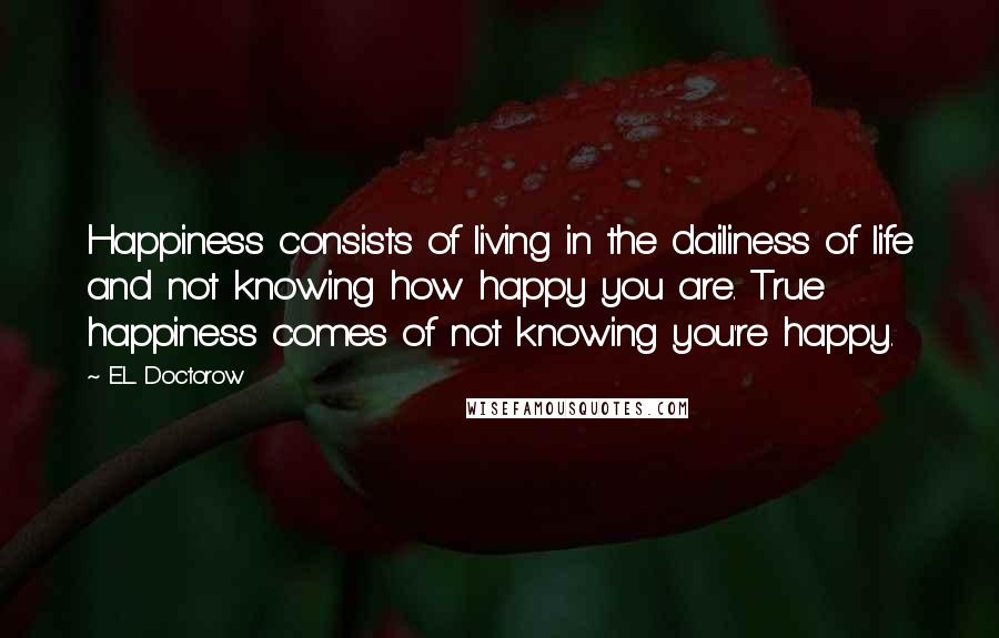 E.L. Doctorow Quotes: Happiness consists of living in the dailiness of life and not knowing how happy you are. True happiness comes of not knowing you're happy.