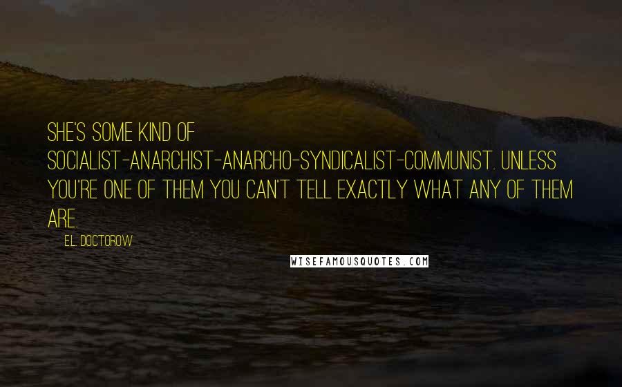 E.L. Doctorow Quotes: She's some kind of Socialist-anarchist-anarcho-syndicalist-Communist. Unless you're one of them you can't tell exactly what any of them are.