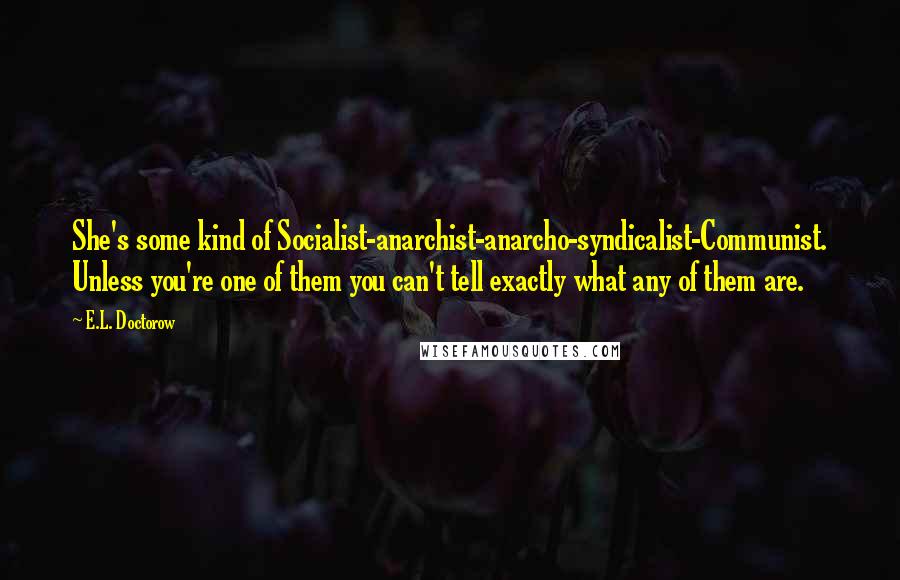 E.L. Doctorow Quotes: She's some kind of Socialist-anarchist-anarcho-syndicalist-Communist. Unless you're one of them you can't tell exactly what any of them are.