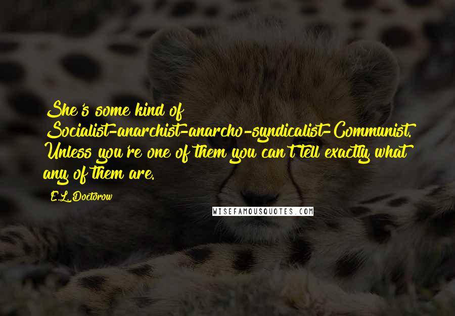 E.L. Doctorow Quotes: She's some kind of Socialist-anarchist-anarcho-syndicalist-Communist. Unless you're one of them you can't tell exactly what any of them are.