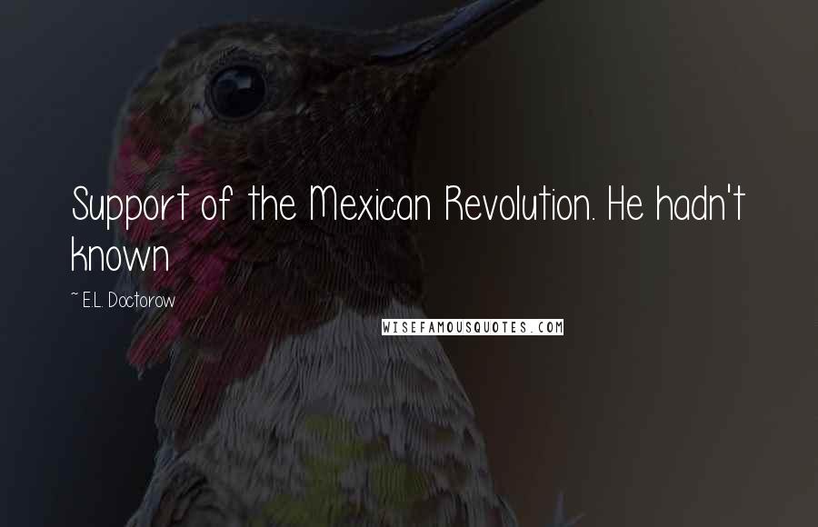 E.L. Doctorow Quotes: Support of the Mexican Revolution. He hadn't known