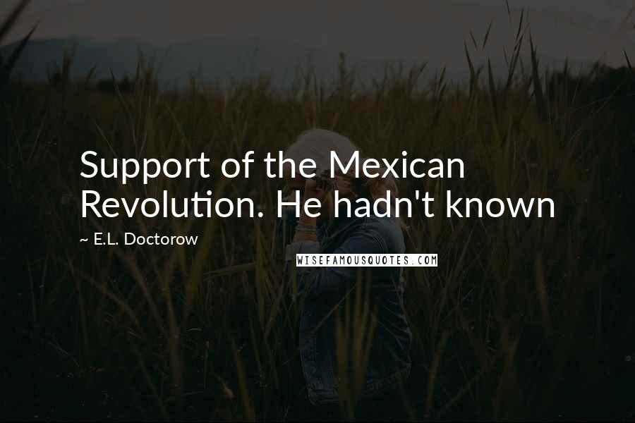 E.L. Doctorow Quotes: Support of the Mexican Revolution. He hadn't known