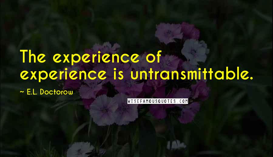 E.L. Doctorow Quotes: The experience of experience is untransmittable.