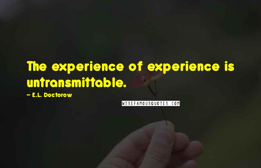 E.L. Doctorow Quotes: The experience of experience is untransmittable.