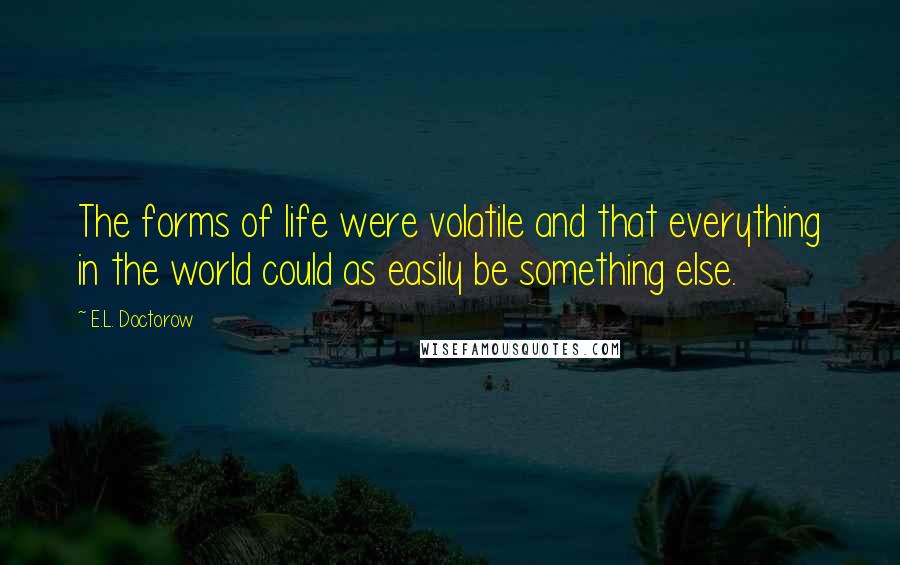 E.L. Doctorow Quotes: The forms of life were volatile and that everything in the world could as easily be something else.