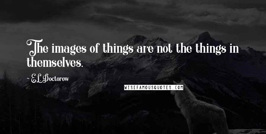 E.L. Doctorow Quotes: The images of things are not the things in themselves.
