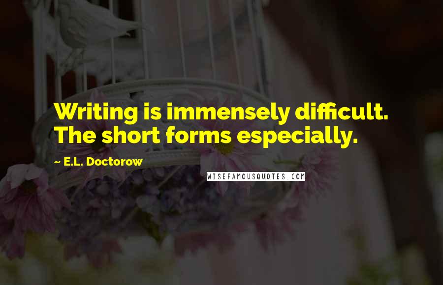 E.L. Doctorow Quotes: Writing is immensely difficult. The short forms especially.