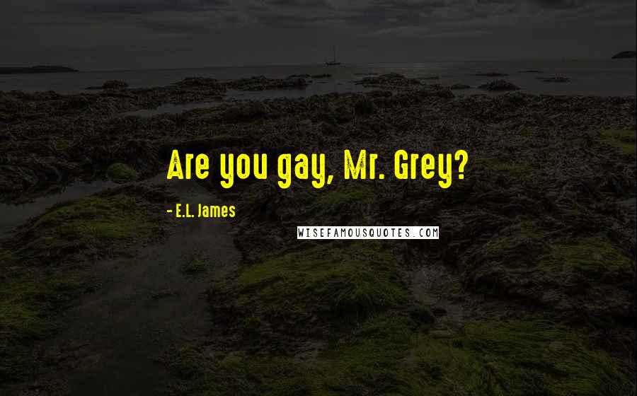 E.L. James Quotes: Are you gay, Mr. Grey?