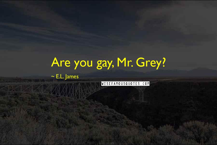 E.L. James Quotes: Are you gay, Mr. Grey?