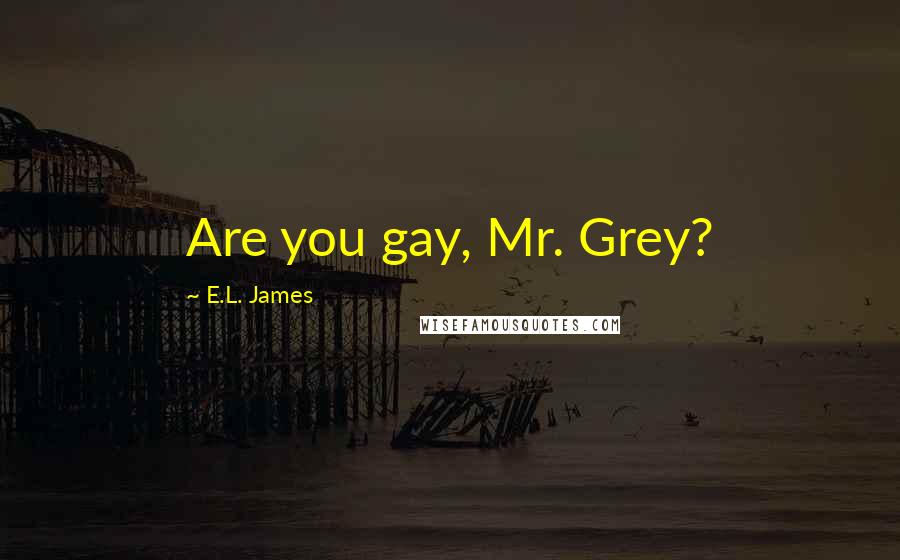 E.L. James Quotes: Are you gay, Mr. Grey?