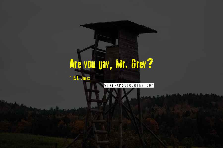 E.L. James Quotes: Are you gay, Mr. Grey?