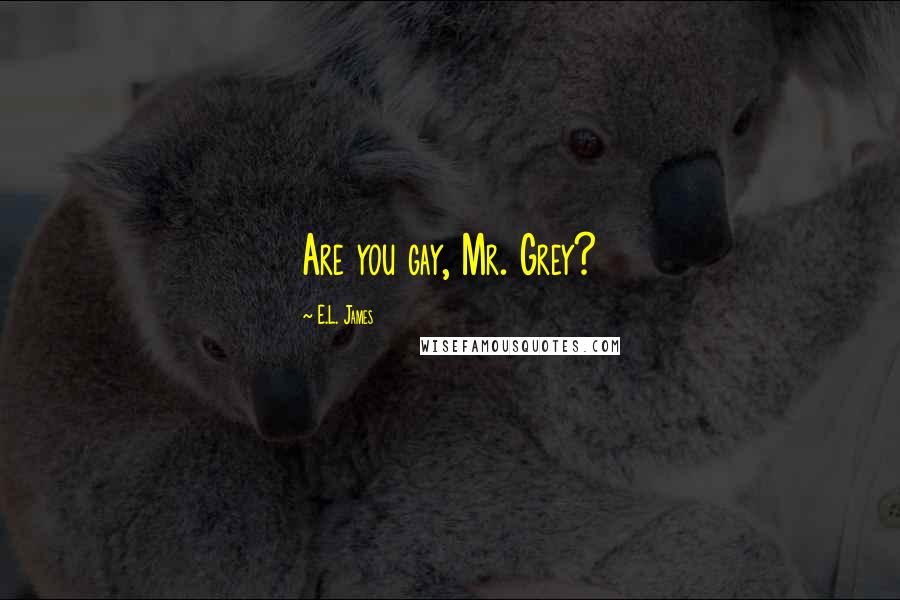 E.L. James Quotes: Are you gay, Mr. Grey?