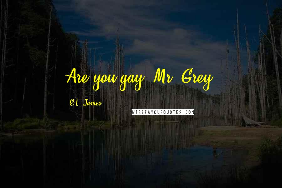 E.L. James Quotes: Are you gay, Mr. Grey?