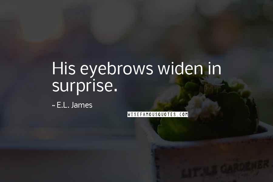 E.L. James Quotes: His eyebrows widen in surprise.