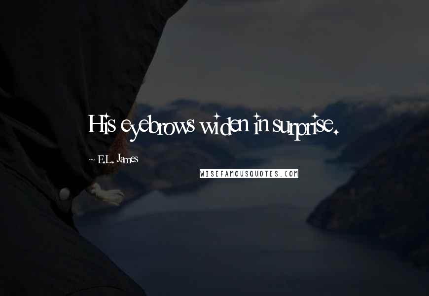 E.L. James Quotes: His eyebrows widen in surprise.