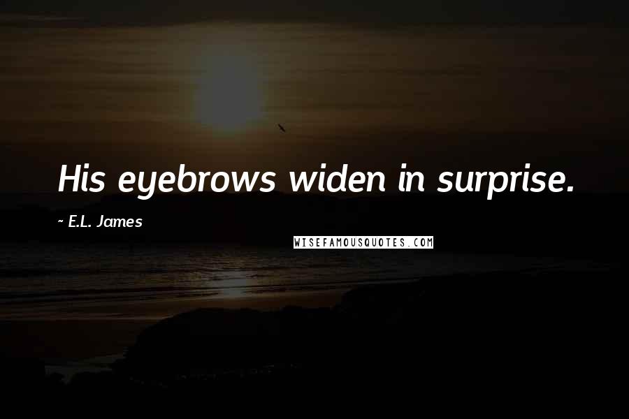 E.L. James Quotes: His eyebrows widen in surprise.