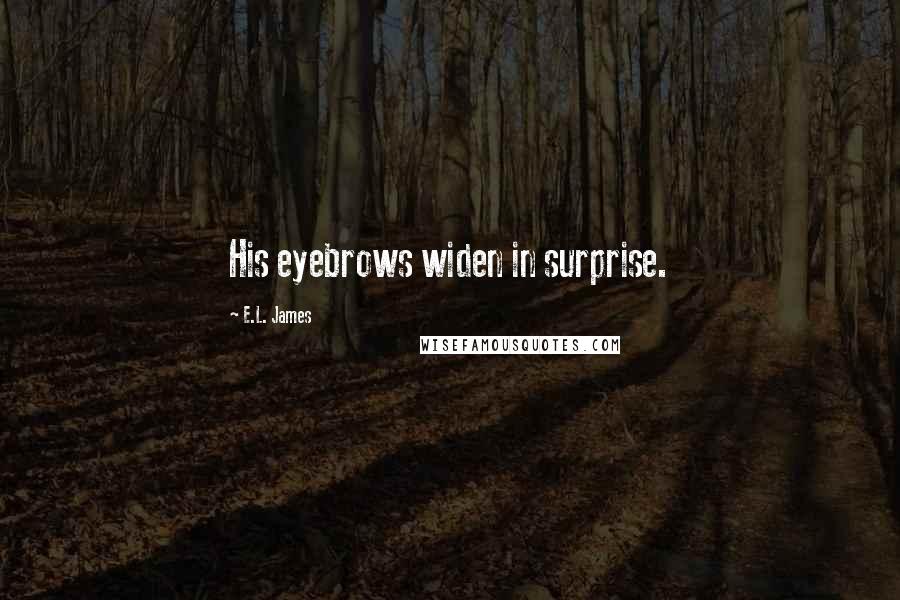 E.L. James Quotes: His eyebrows widen in surprise.