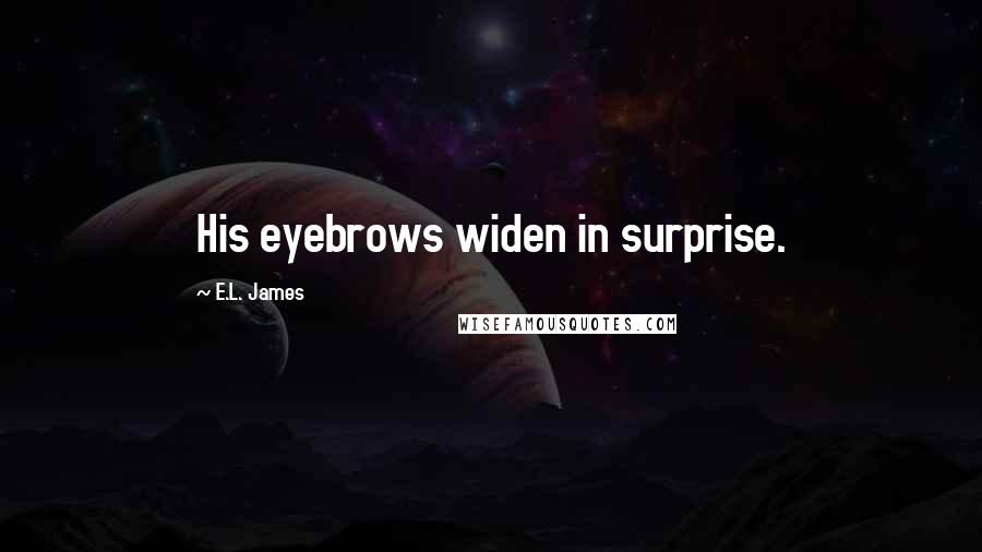E.L. James Quotes: His eyebrows widen in surprise.