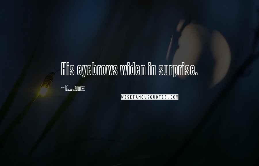 E.L. James Quotes: His eyebrows widen in surprise.