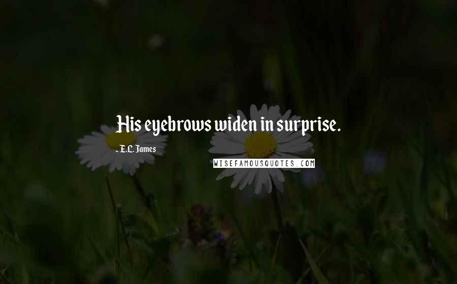E.L. James Quotes: His eyebrows widen in surprise.