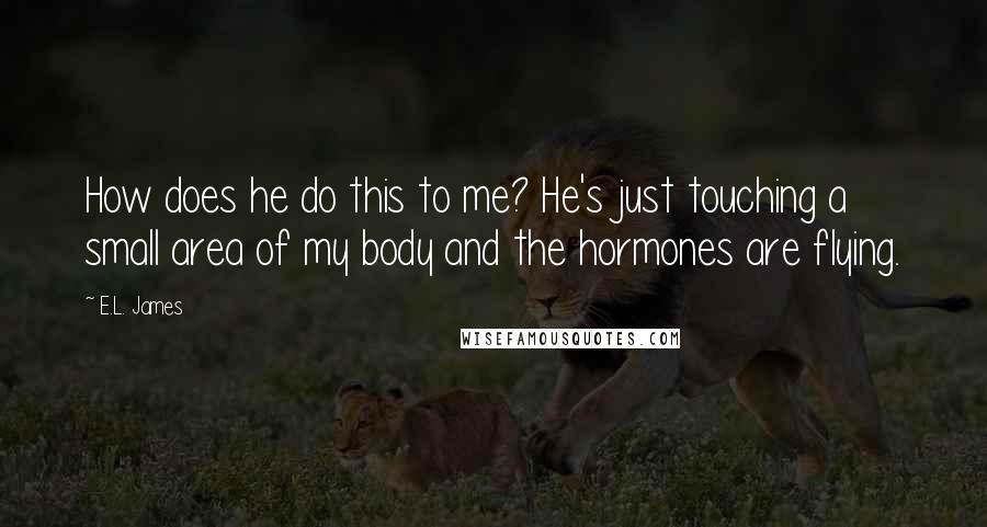 E.L. James Quotes: How does he do this to me? He's just touching a small area of my body and the hormones are flying.