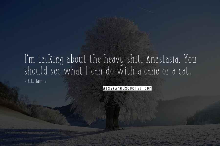 E.L. James Quotes: I'm talking about the heavy shit, Anastasia. You should see what I can do with a cane or a cat.