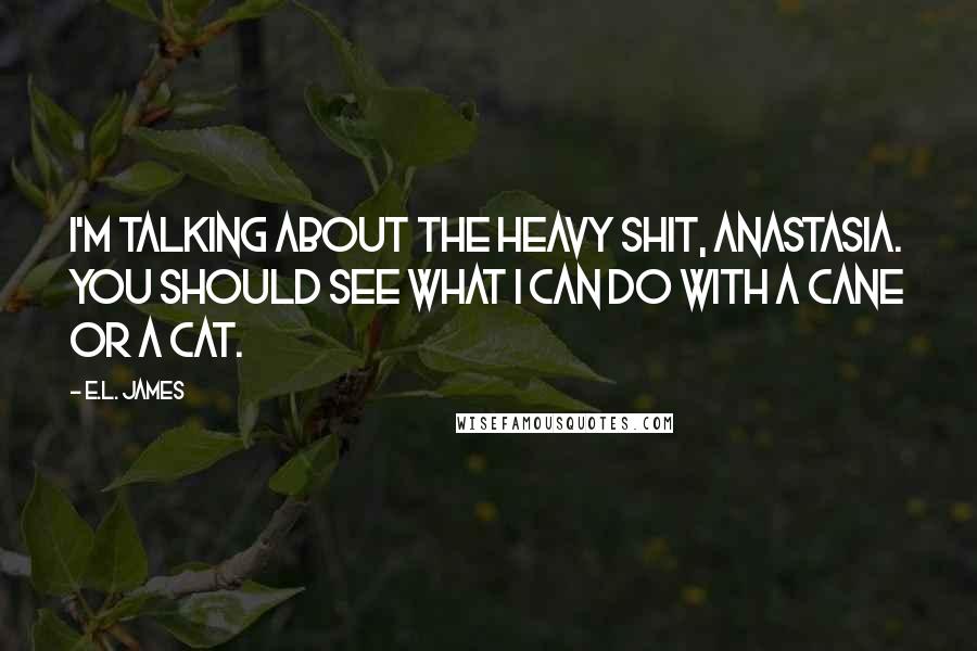 E.L. James Quotes: I'm talking about the heavy shit, Anastasia. You should see what I can do with a cane or a cat.