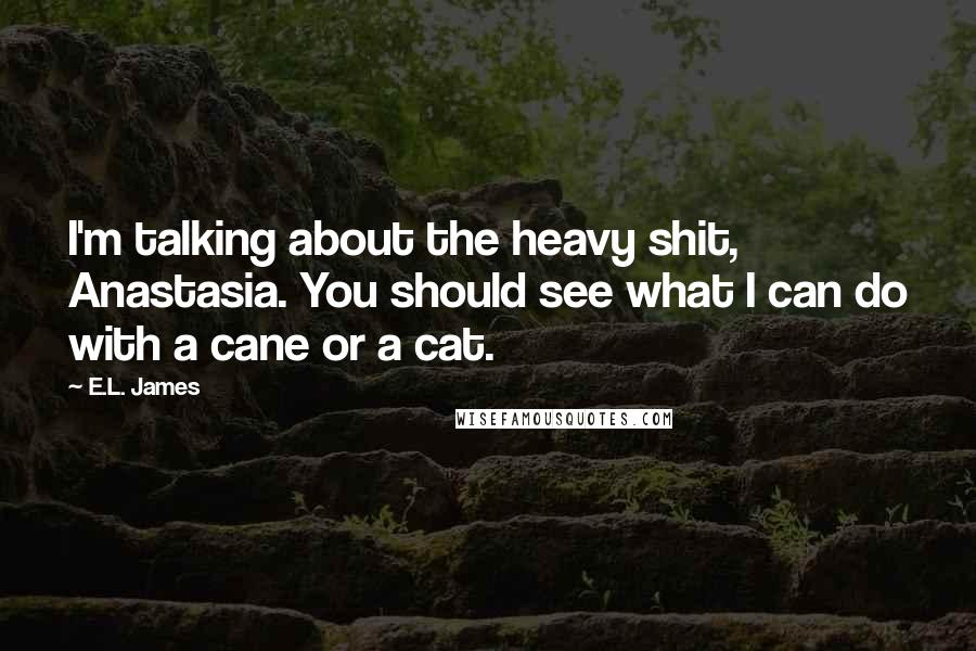 E.L. James Quotes: I'm talking about the heavy shit, Anastasia. You should see what I can do with a cane or a cat.